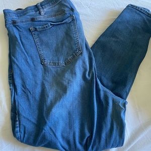 Torrid Premium Jeans